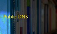 Public DNS Server Tool(DNS更改工具) 2.4 中文版